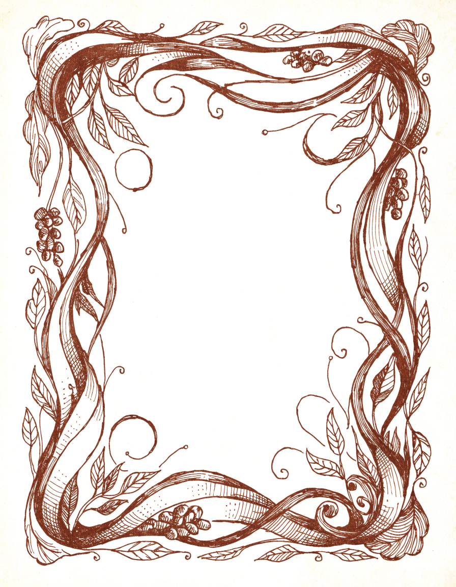 Hand drawn botanical frame of coffee vines